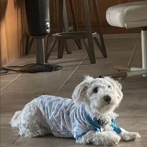 Meet your Posher, Morgan